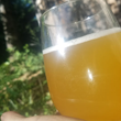 Lemon Lavender Mint Kombucha